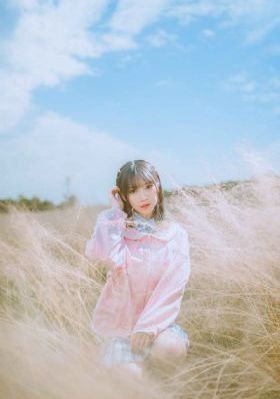 屠夫状元电影完整版在线观看_蓝光免费在线播放