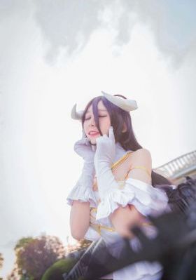 菜鸟总动员_超清HD在线观看